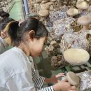 쌍둥이 농원 이미지