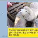 니쿠조