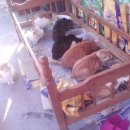 서두물공원 이미지