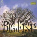 빅 피쉬 Big fish 교재 구매안내(선착순 10분 특가에 모십니다^^) 이미지