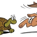 토끼와 거북이길 이미지