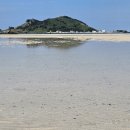 물결그림 이미지