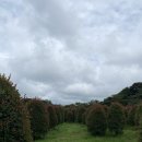 송하농장 이미지