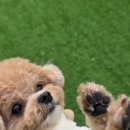 더봄(the봄) 이미지