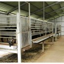 현석농장 이미지