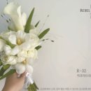 웨딩비르우엘