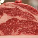 양지축산 이미지