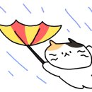 베니케이크 - 마포구 와우산로29다길 11 | 베니케이크