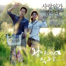 박승화 - 사랑인가 봅니다 이미지