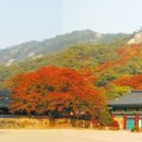 2024-주216 Daum카페