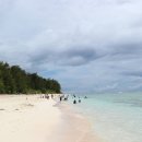 비치코스메틱 이미지