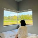 스테이소시담가독채풀빌라펜션 | 무료 온수 풀빌라 제주 서귀포 감성 숙소 독채 펜션 스테이선명