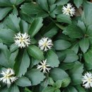 열창노래방 이미지