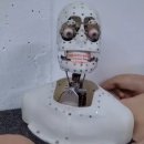 강아지가정부 네이버블로그