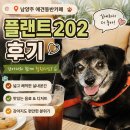 202 | 남양주 실내 애견동반카페 플랜트202 후기
