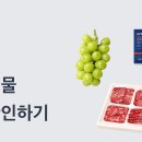 새벽반 줌님들 토스 같이해요! 이미지