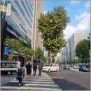 명지 공인중개사사무소 | 강남 선릉·역삼 상권 핵심! ‘강남우리공인중개사사무소’ 솔직 후기