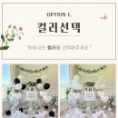 더모음파티 이미지