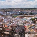 HOSTEL THE CAMINO 이미지