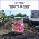 블루제주캔들
