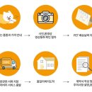 광주강아지분양 고양이분양 도로시펫 이미지