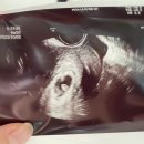 미사라엠산부인과의원 이미지