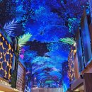 미디어아트<오로라를 | 인천 영종도 인스파이어 오로라 미디어 아트 고래쇼 주차 주말 방문 후기