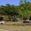 명상(주간) 이미지