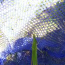 한터초등학교 이미지