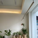 동글상회 이미지