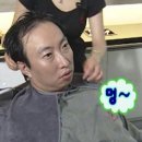더제이헤어숲