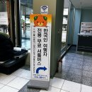 일본 마쓰야마 3박 4일 꽉 찬 여행코스 총정리 및 관광지 추천