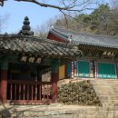 백률사 - 924 | 백률사
