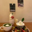 함박이네 애견샵 이미지