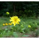 종로무도장 이미지