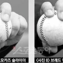 커브 이미지