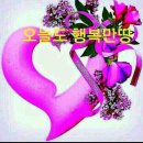 마음퐁당