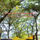 ♡ 캠핑프로 유저클럽 9월 월례정모 - 밤줍기 캠핑 - (2014.09.19~21, 경기 가평 푸름유원지캠핑장) 이미지