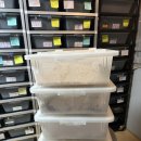 마우스 킬러 이미지