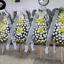 성산현대요양병원 이미지