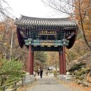 낙성대 공원 이미지
