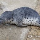 문암수산