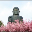 한국철도공사수도권서부지사 | 4월 강진 남미륵사, 서울서 가보니 어떻게 가야 덜 힘들까