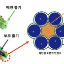(유)SC환경 이미지