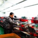 감먹은 토끼 이미지