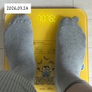 처발라 | 마운자로 첫날 효과 후기 가격 다이어트약 병행 처방