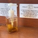 등대일식 | [맛집/내돈내산] 속초/등대해변 하마식당 후기 (후토마끼, 마제소바) 평일 노웨이팅