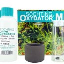 새우일 산소 이미지