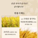 한톨식혜 네이버블로그