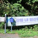 경기둘레길 양평26코스 | 경기둘레길 양평26코스